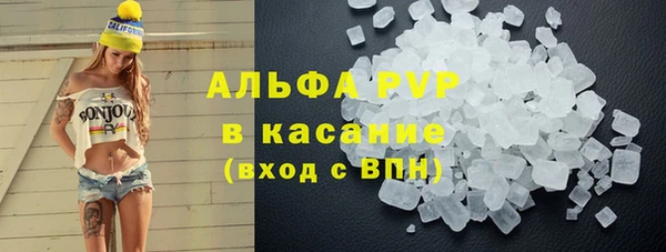 гашик Нефтекумск