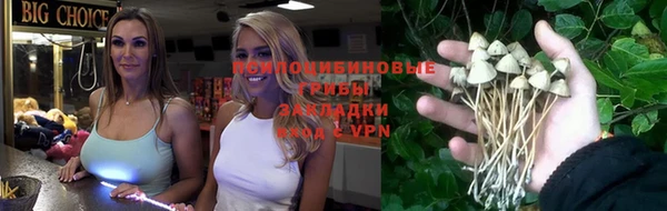 гашик Нефтекумск