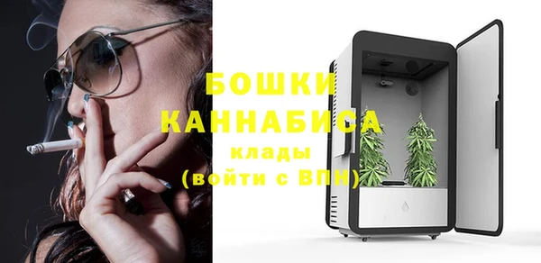 гашик Нефтекумск
