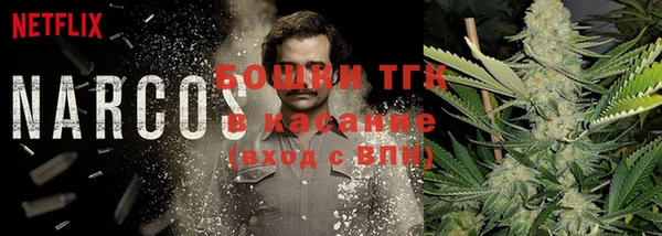 эйфоретик Надым