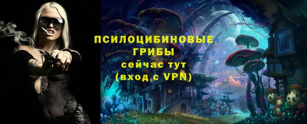 гашик Нефтекумск