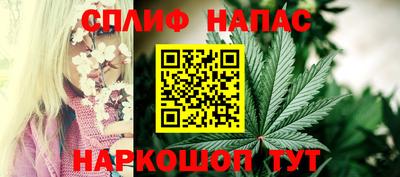 ECSTASY Гусь-Хрустальный