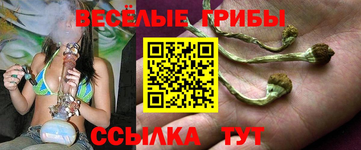 Псилоцибиновые грибы MAGIC MUSHROOMS  Серпухов 