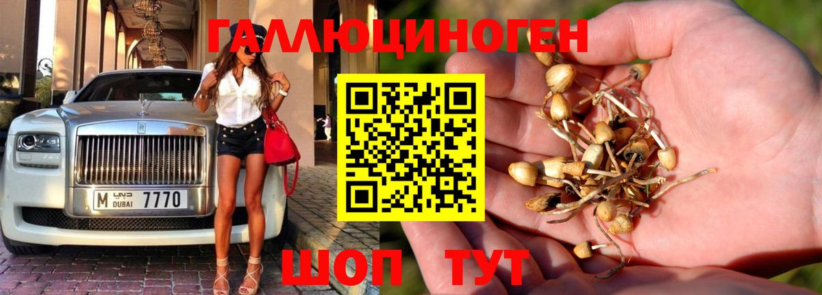 Галлюциногенные грибы мицелий Серпухов