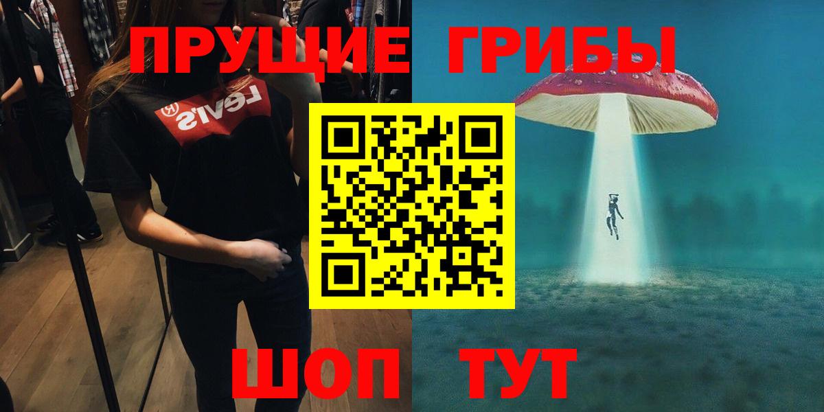 Псилоцибиновые грибы Cubensis  Вход с VPN  Серпухов  Псилоцибиновые грибы Cubensis 